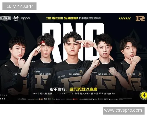 和平精英战术分析：RNG团队协作与配合策略的深度探讨