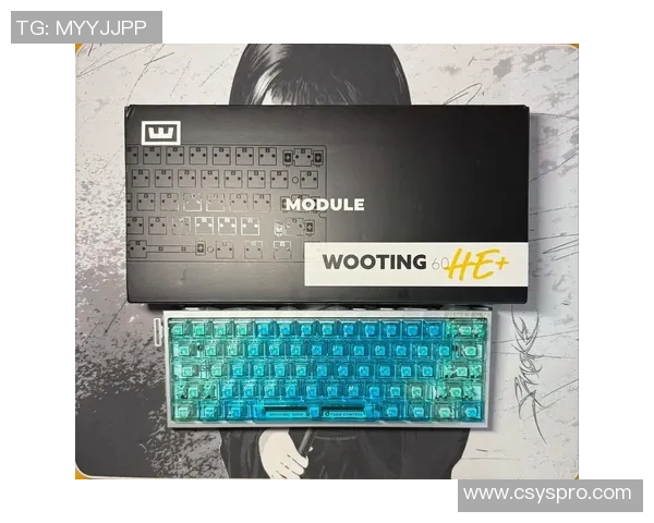 提升游戏体验的CSGO装备选购指南：最适合的键盘推荐与评测