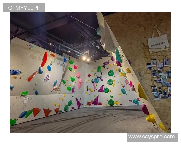 赛后分析上海攀岩队与武汉攀岩队实力对比与表现评估