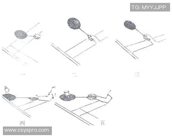 科学羽毛球训练方法的全面解析与实用技巧分享 科学羽毛球训练方法的全面解析与实用技巧分享
