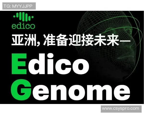 上海排球队整体压制革新之路：从战术到团队协作的全面提升与突破