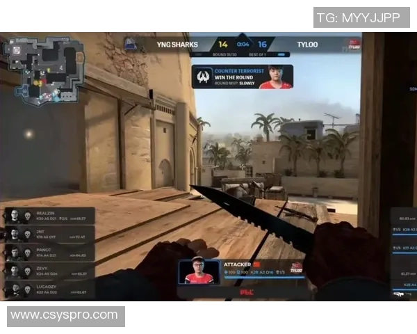 CSGO耐力排行榜更新LNG战队荣登第二名引发热议