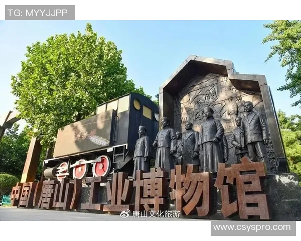 南京乒乓球队全方位压制革新之路探秘与未来展望