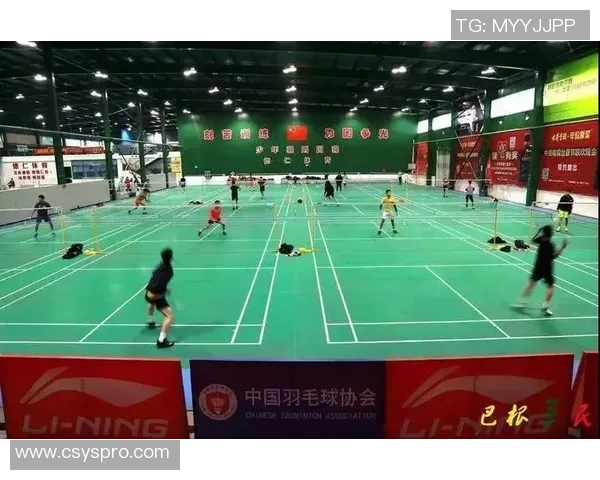 南京羽毛球队的节奏与战术分析探讨羽毛球运动的未来发展方向