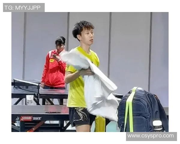 广州乒乓球队比赛经验分享与成长之路的深度探讨与分析