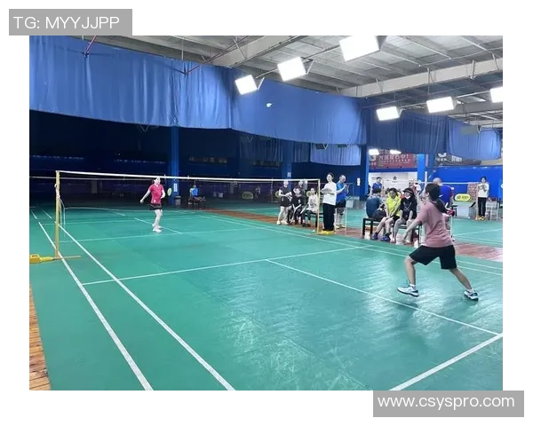 成都羽毛球队包夹战术解析及其在比赛中的应用与影响 成都羽毛球队包夹战术解析及其在比赛中的应用与影响