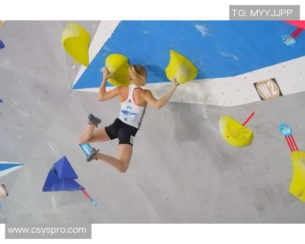 攀岩比赛权威发布实力榜单揭示顶尖选手经验与实力对比分析