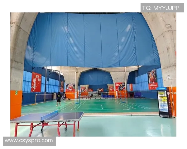 张丽的乒乓球人生:从小球场到世界舞台的深度对话与成长故事 张丽的乒乓球人生:从小球场到世界舞台的深度对话与成长故事