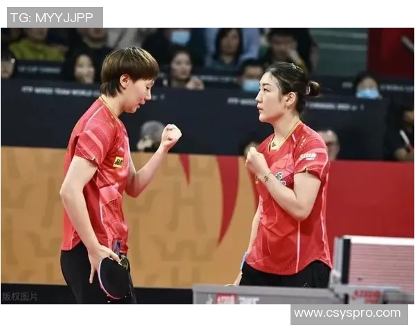 西安乒乓球队配合实力飙升创新高排名引发关注与赞誉