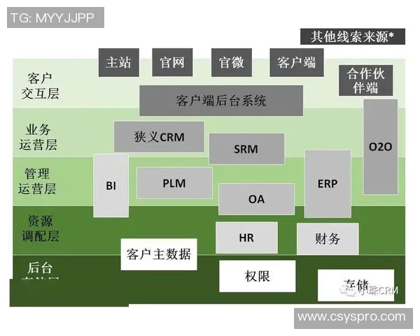 重庆足球队的运营模式与发展策略深度解析 重庆足球队的运营模式与发展策略深度解析