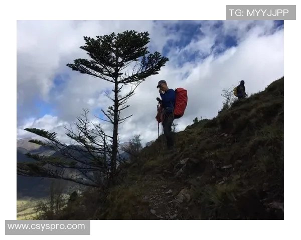 斯通斯的传奇之旅：从摇滚乐坛到文化符号的演变与影响