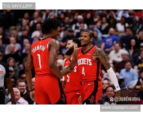 火箭队与尼克斯2016赛季对决回顾及精彩瞬间分析