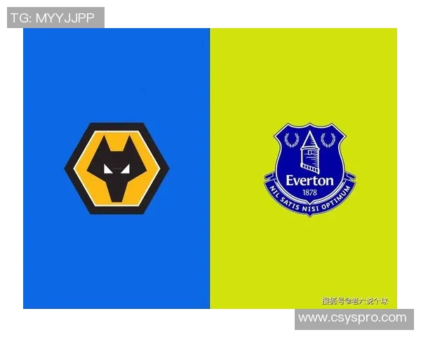 狼队与埃弗顿对决分析及胜负推荐解析