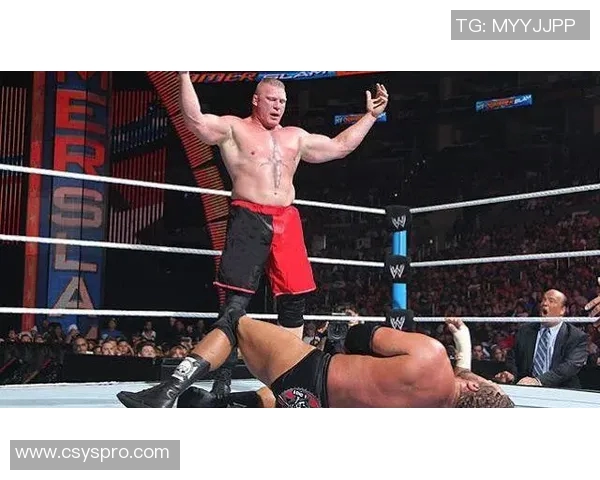 高博与莱斯纳2017年巅峰对决回顾与精彩瞬间分析