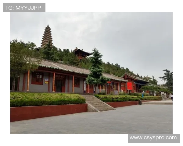 倪永康的政治生涯与影响力探讨：从官场风云到历史评价的全景分析