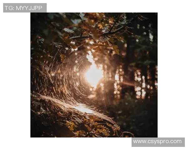 萨林杰的文学世界探秘：从孤独到人性的深刻思考与情感交织