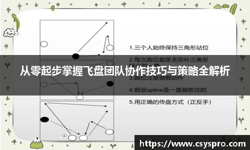 从零起步掌握飞盘团队协作技巧与策略全解析