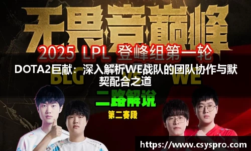 DOTA2巨献：深入解析WE战队的团队协作与默契配合之道