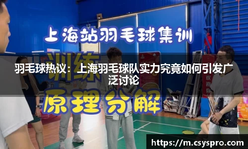 羽毛球热议：上海羽毛球队实力究竟如何引发广泛讨论