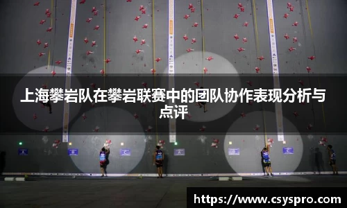 上海攀岩队在攀岩联赛中的团队协作表现分析与点评