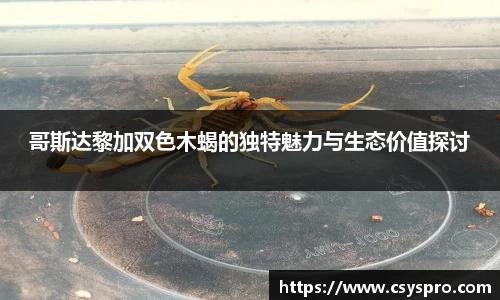 db旗舰厅官方网站